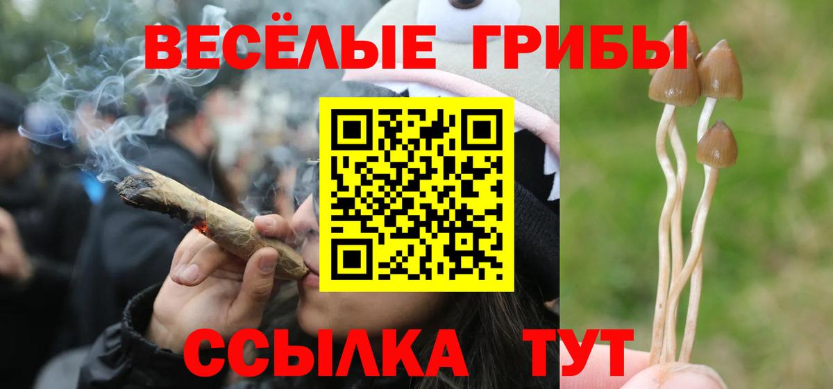 Нижнекамск  Псилоцибиновые грибы мицелий  Вход с VPN 